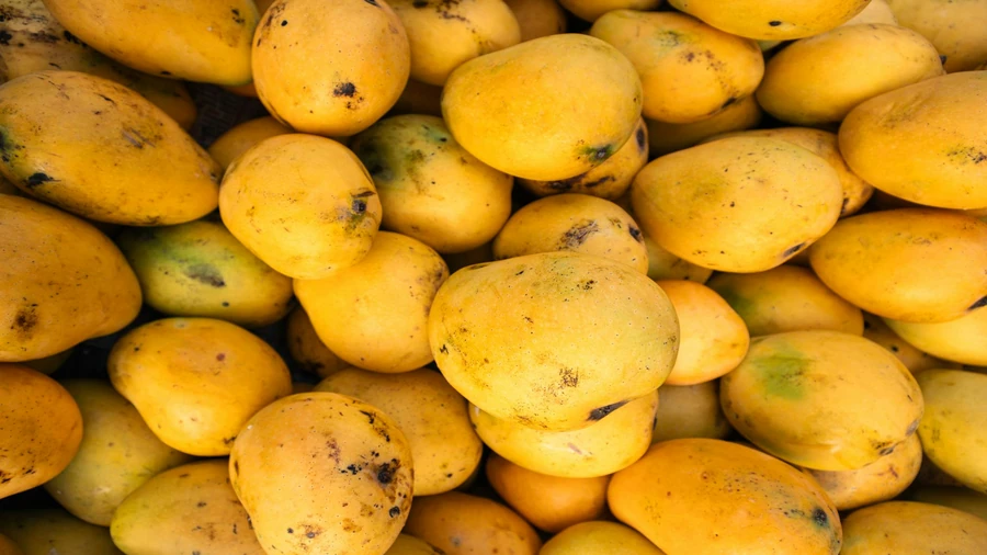 When is the best time to eat mangoes?