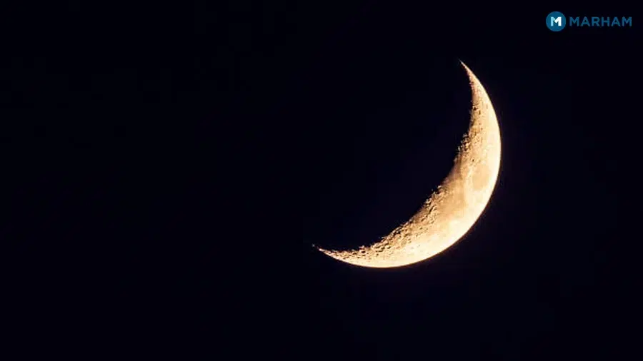 What Is Eid ul Azha and Why Do Muslims Celebrate It?