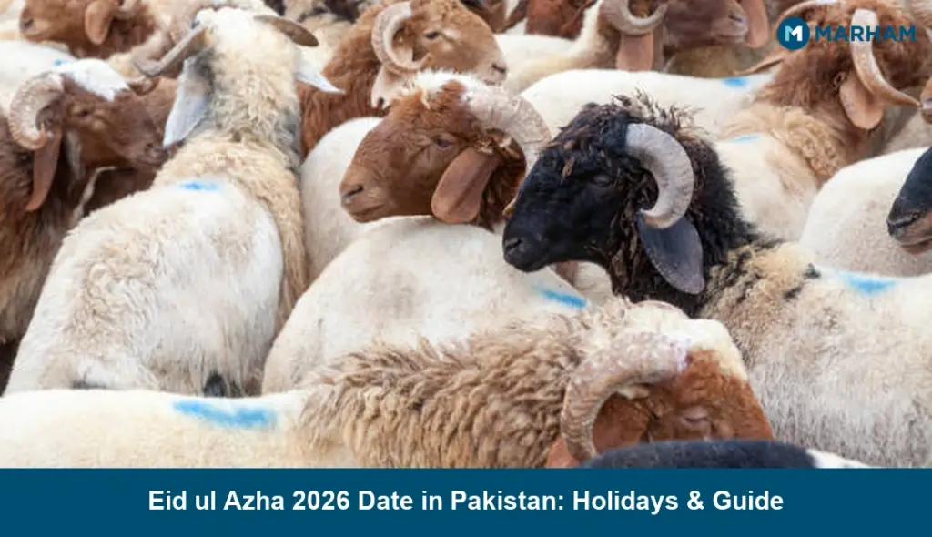 Eid ul Azha 2026 Date in Pakistan: Holidays & Guide