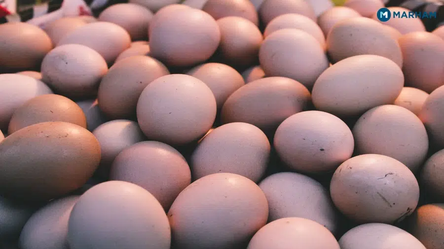 How Much Daily Protein Intake Do You Actually Need?
