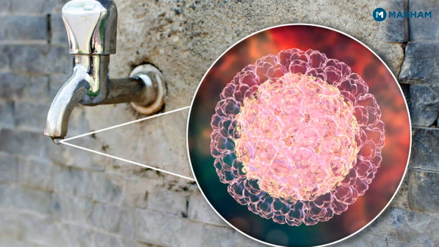 Amoebiasis and Dysentery