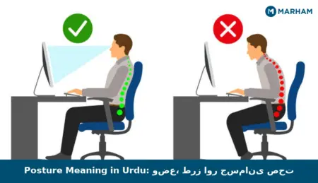 Posture Meaning in Urdu: وضع، طرز اور جسمانی صحت Posture Meaning in Urdu: وضع، طرز اور جسمانی صحت