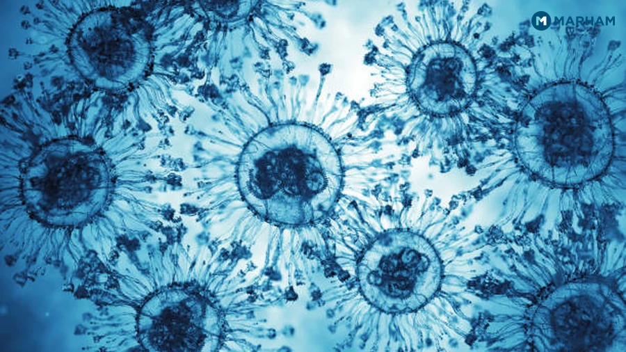 What Is the Difference Between a Viral and Bacterial Infection?