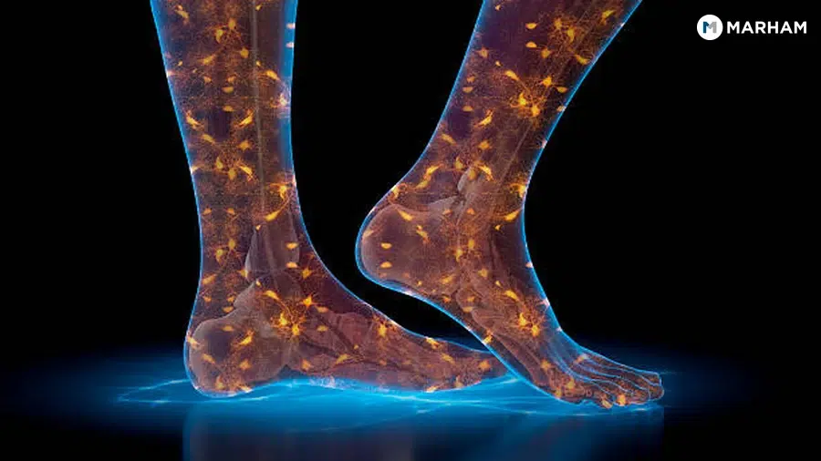3. Peripheral Neuropathy from Other Causes