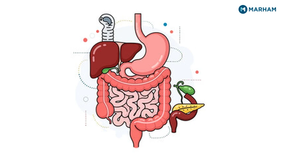 What Causes a Slow Metabolism