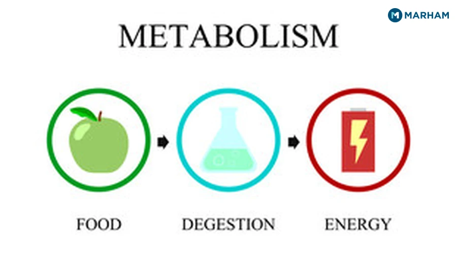 Metabolism-Boosting Foods for a Pakistani Diet